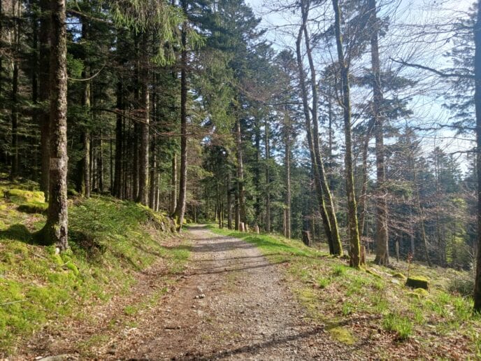 le hohneck : rando, bonne bouffe et refuge dans les vosges