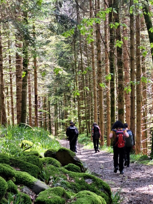le hohneck : rando, bonne bouffe et refuge dans les vosges