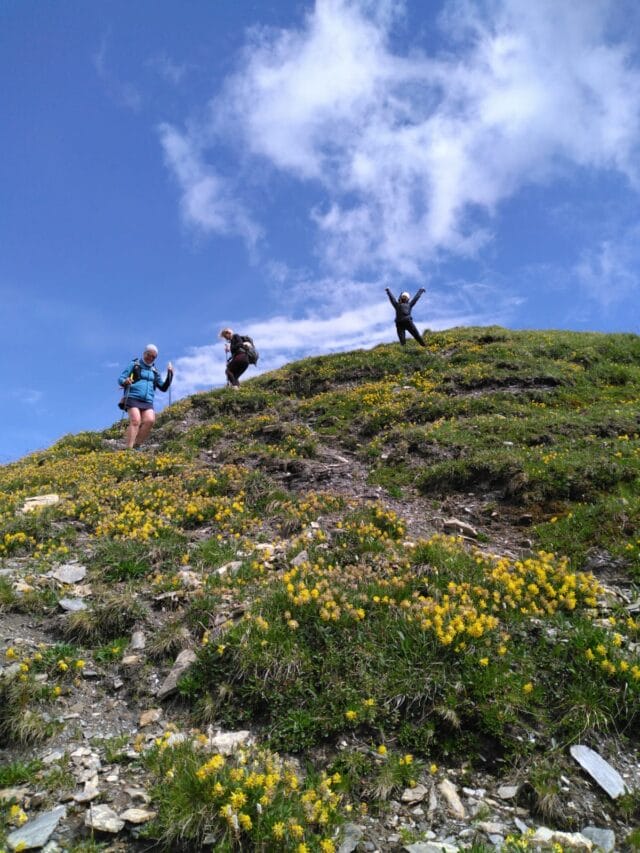 le tour du mont blanc : 7 jours de trek organisé en refuge