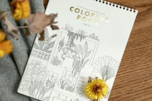 livre coloriage adultes