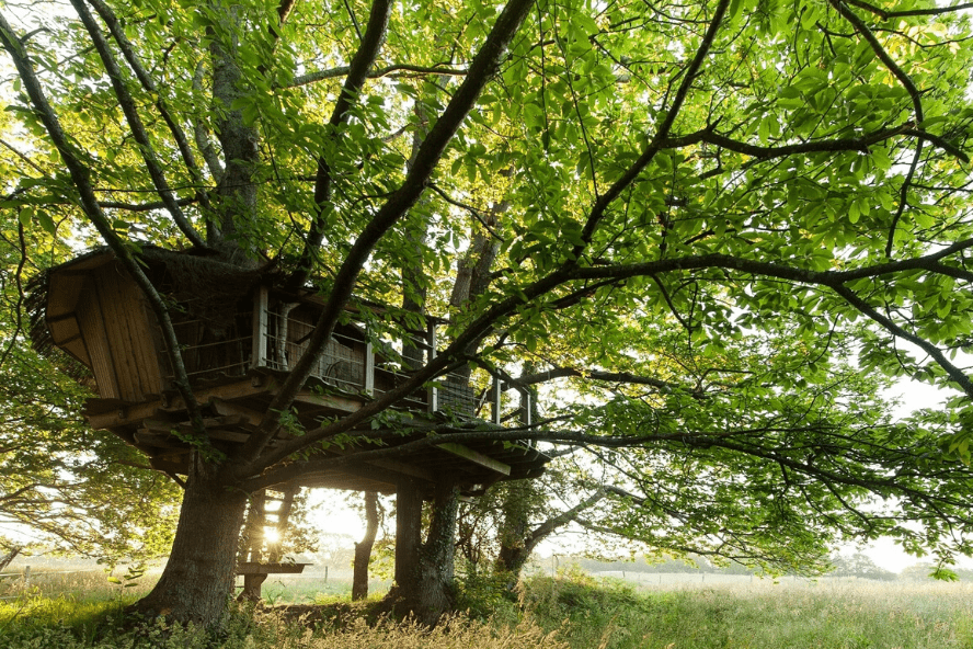 Cabane arbre hébergement nature