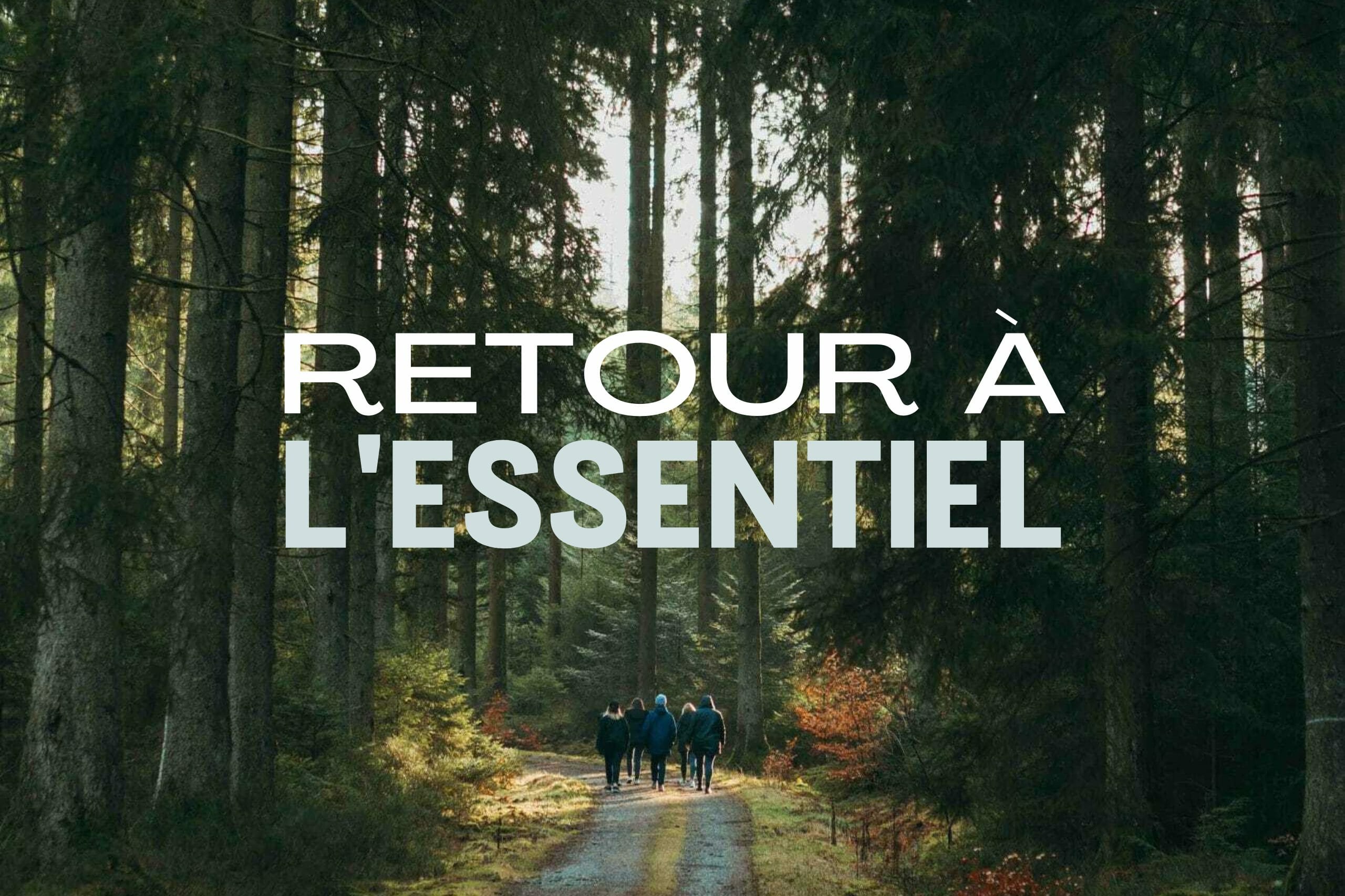 Rando et naturopathie en forêt de Fontainebleau