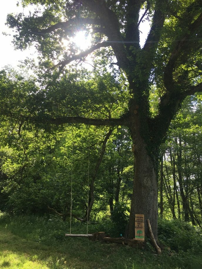 balançoire suspendue à un arbre