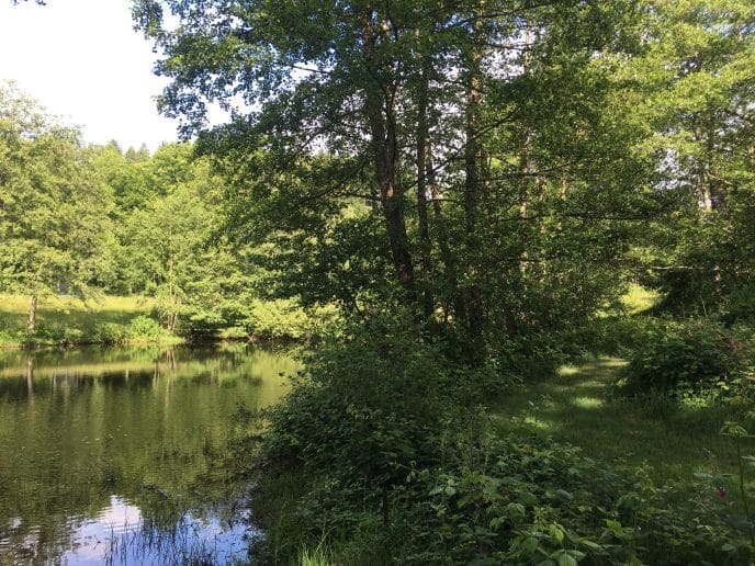 Vichy : Week-end escape game et jeux de piste en forêt – Image 12