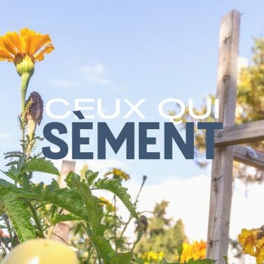 Permaculture