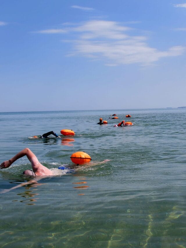stage d'initiation à la nage en eau libre dans le morbihan