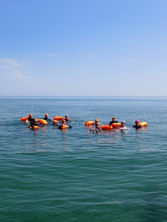 stage d'initiation à la nage en eau libre dans le morbihan