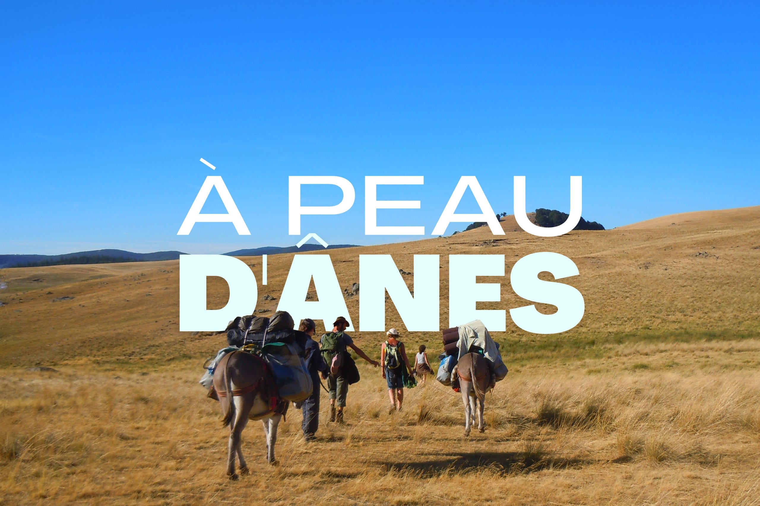 Peau d'âne : Rando avec un âne dans les Cévennes sur les pas de Stevenson