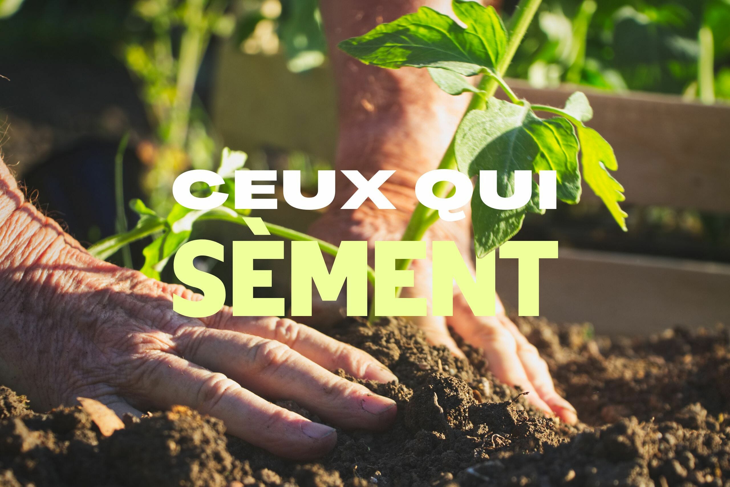 CEUX QUI SEMENT  : Stage permaculture et agroécologie à la ferme près de Paris