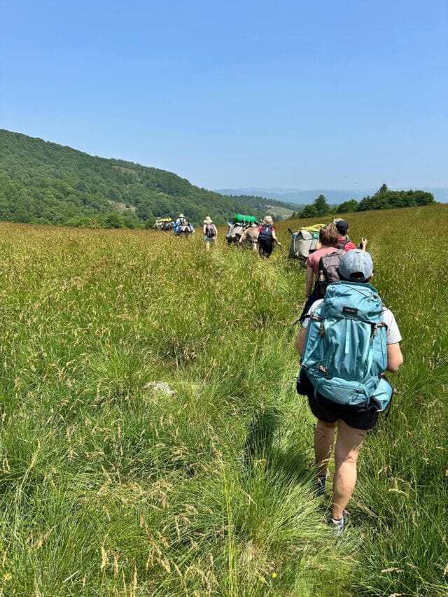 rando avec un âne dans les cévennes sur les pas de stevenson