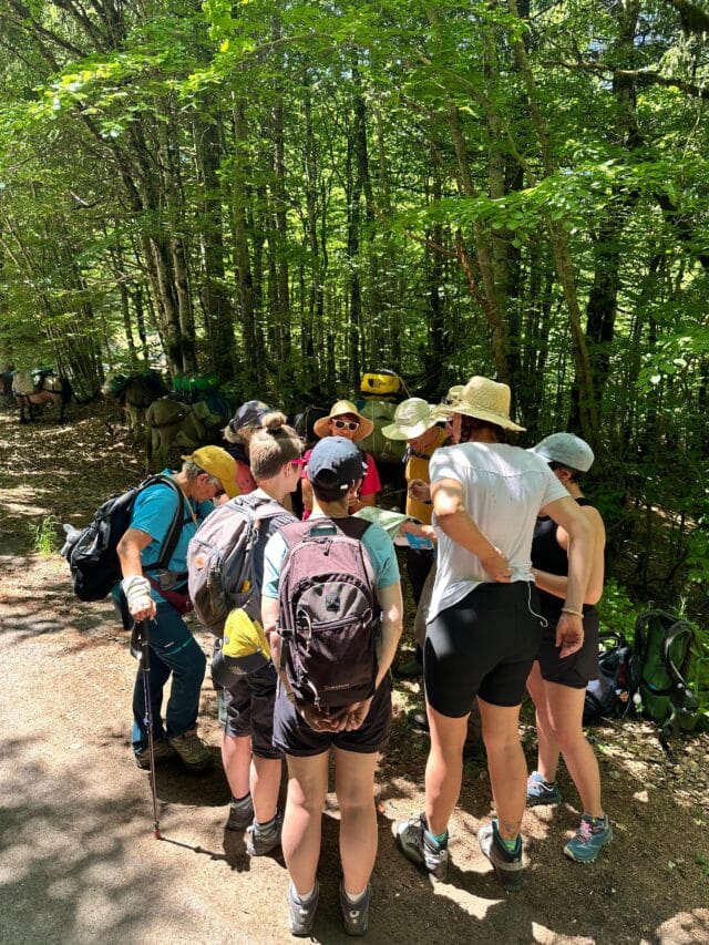 rando avec un âne dans les cévennes sur les pas de stevenson