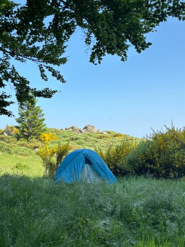rando avec un âne dans les cévennes sur les pas de stevenson