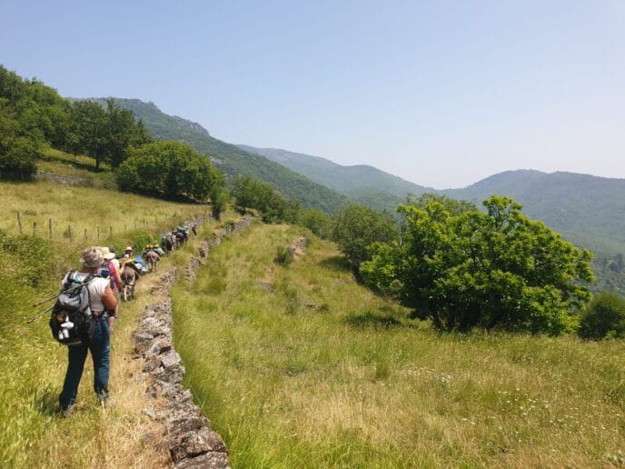 rando avec un âne dans les cévennes sur les pas de stevenson