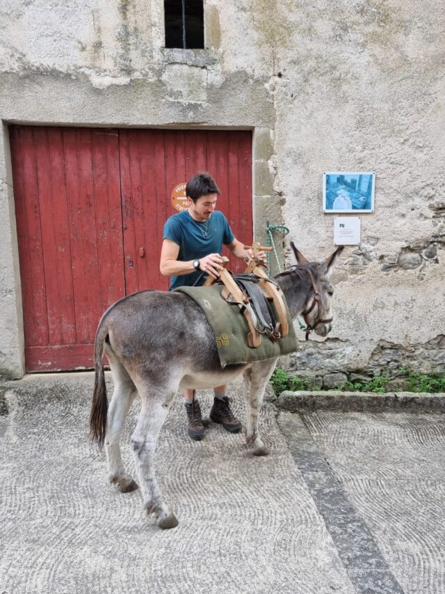 rando avec un âne dans les cévennes sur les pas de stevenson