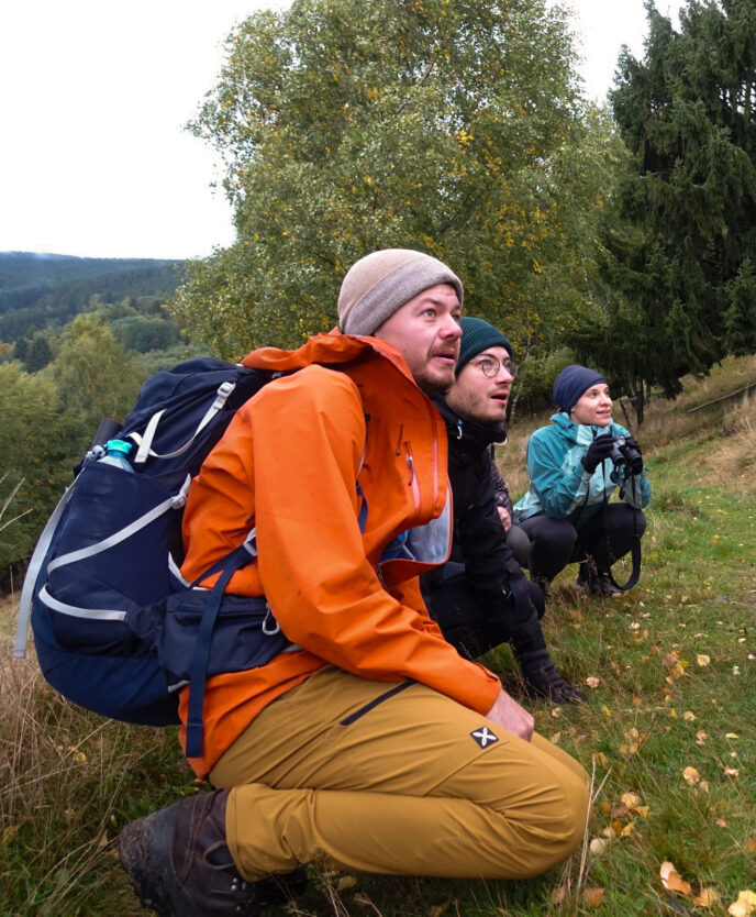 randonnée et écoute du brame du cerf dans les vosges