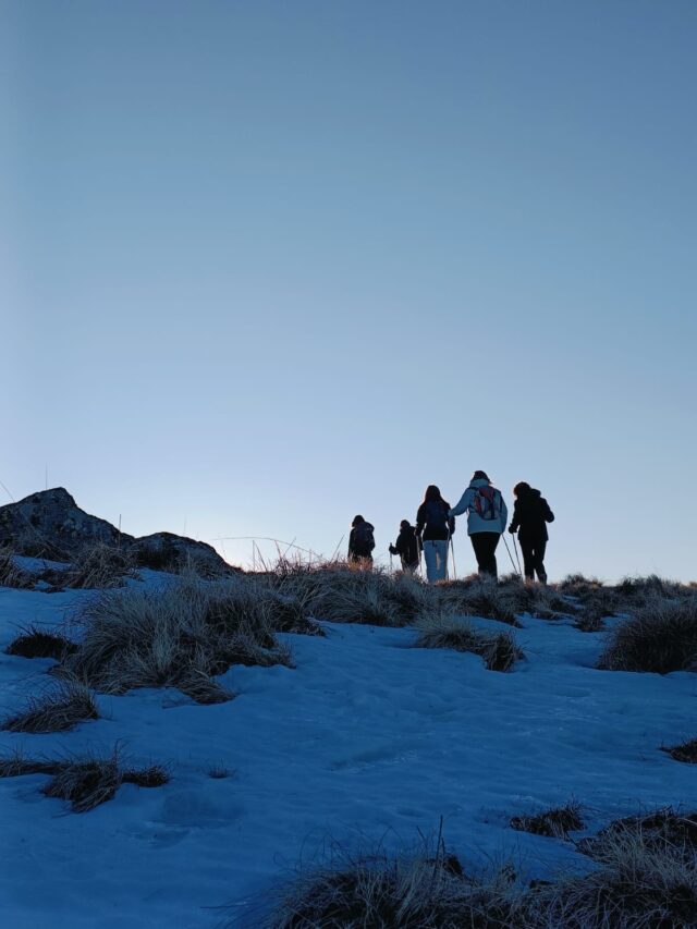 nouvel an randonnée en raquettes et truffade en auvergne