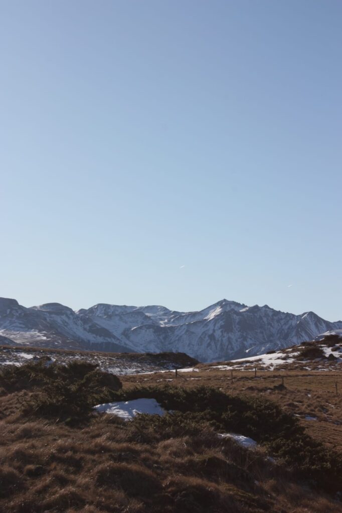 nouvel an randonnée en raquettes et truffade en auvergne