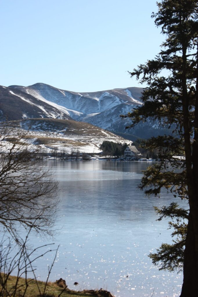 nouvel an randonnée en raquettes et truffade en auvergne