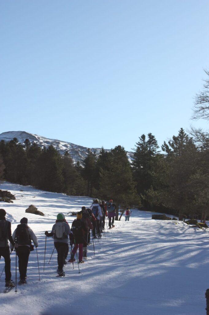 nouvel an randonnée en raquettes et truffade en auvergne