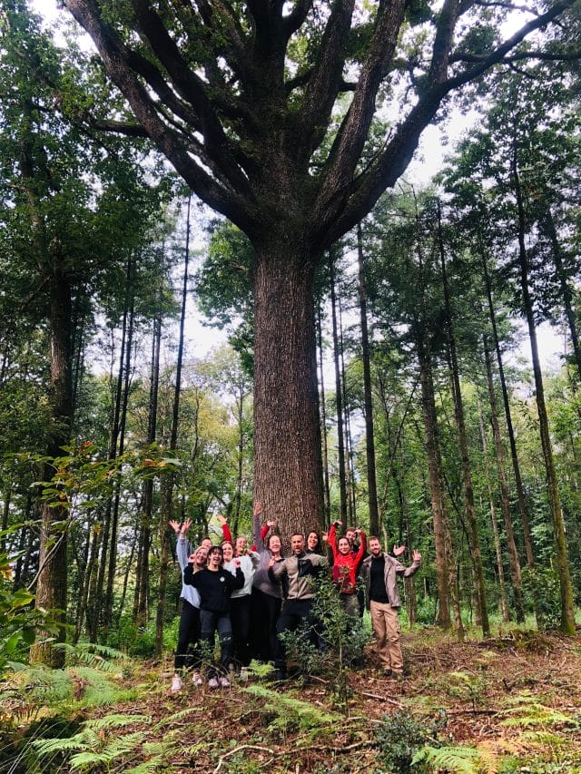 Brocéliande : week-end survie et nuit en cabane en Bretagne – Image 24