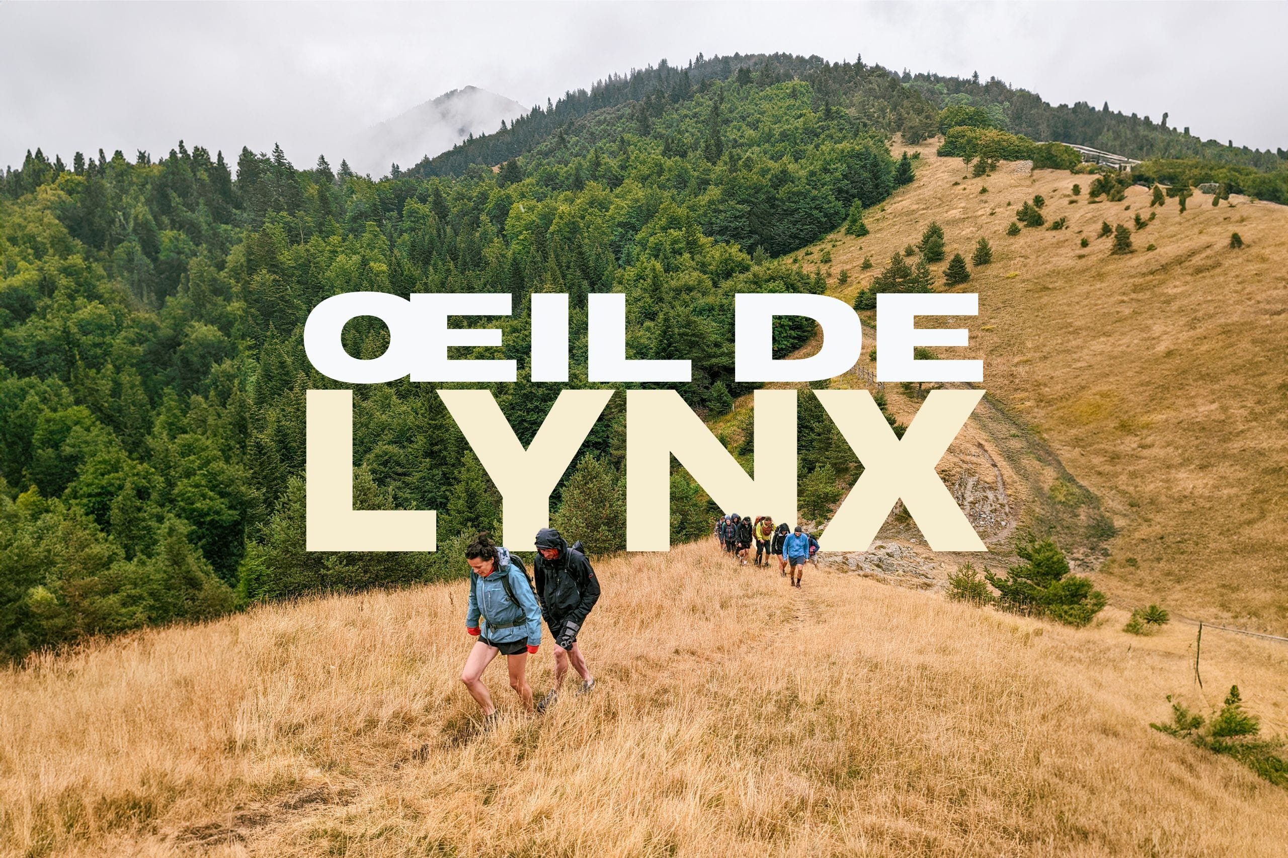 Oeil de Lynx  : Sur la piste du lynx : week-end randonnée dans le Jura