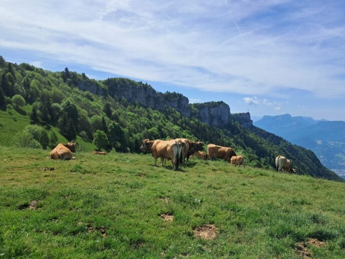 savoie : week end rando et initiation au bivouac près de chambéry