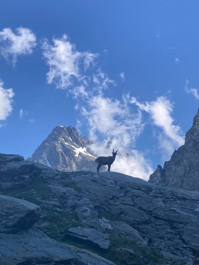 trek : le tour du mont viso en 4 jours, en randonnée et refuges