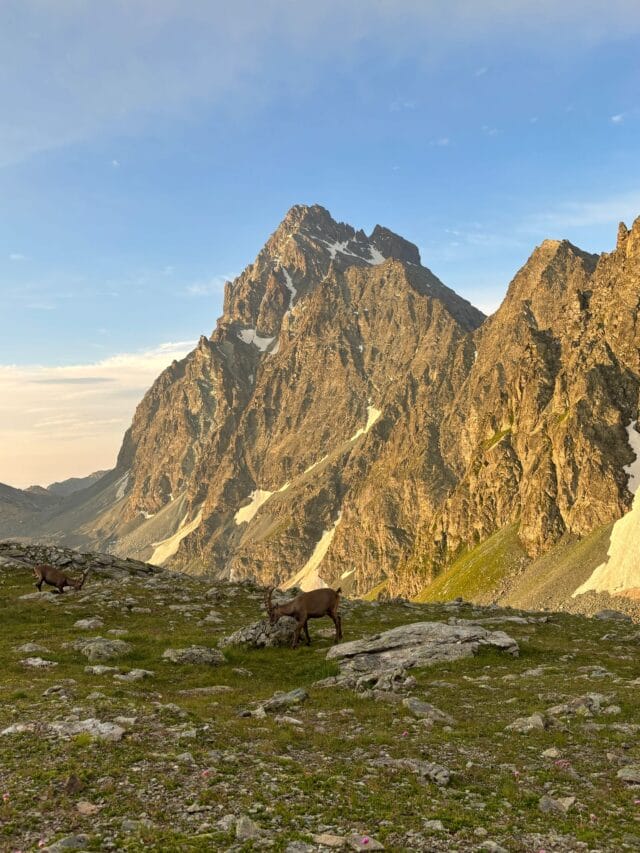 trek : le tour du mont viso en 4 jours, en randonnée et refuges