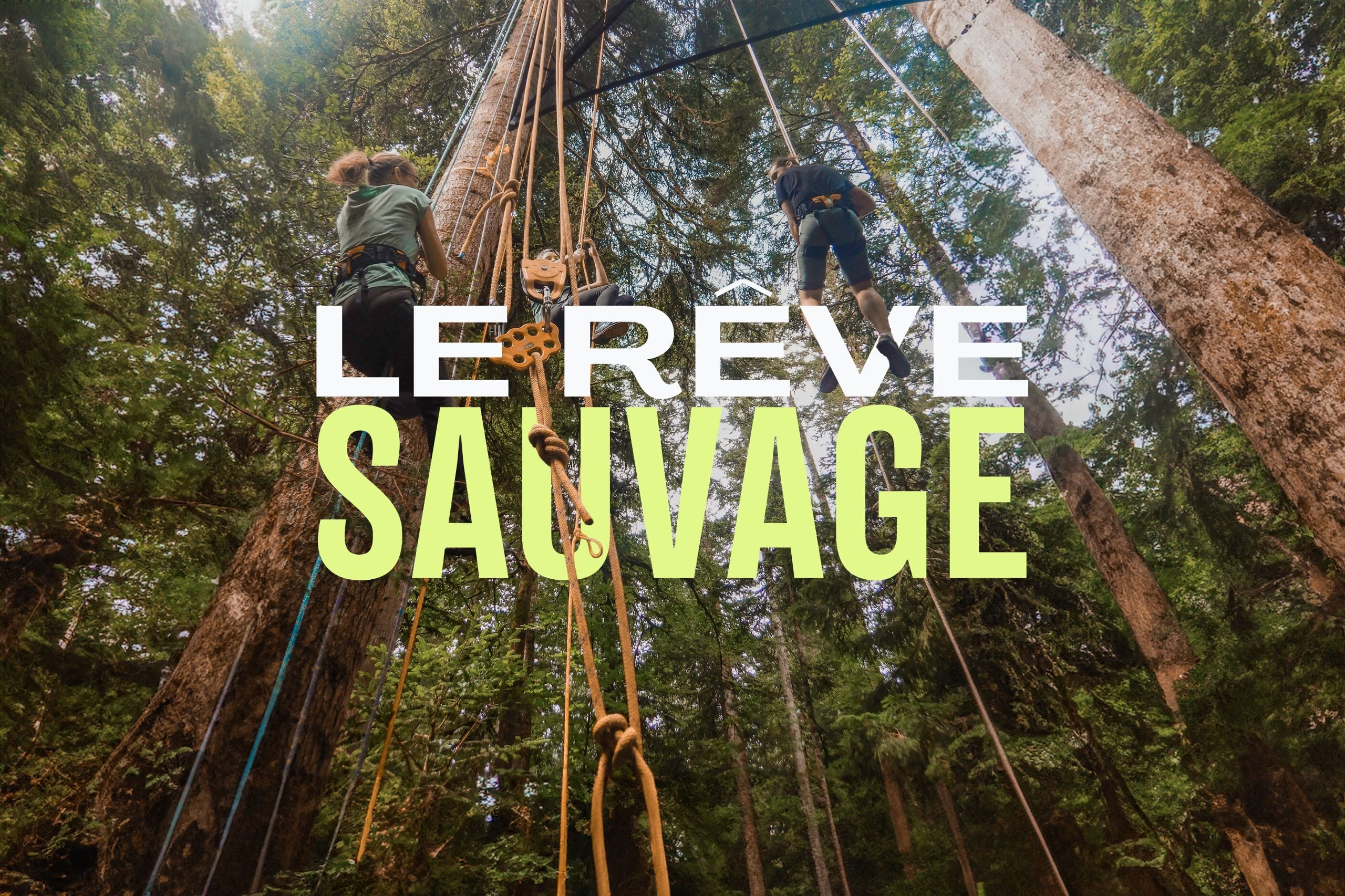 LE REVE SAUVAGE  : Nuit en hamac et initiation à la grimpe d'arbre dans le Jura