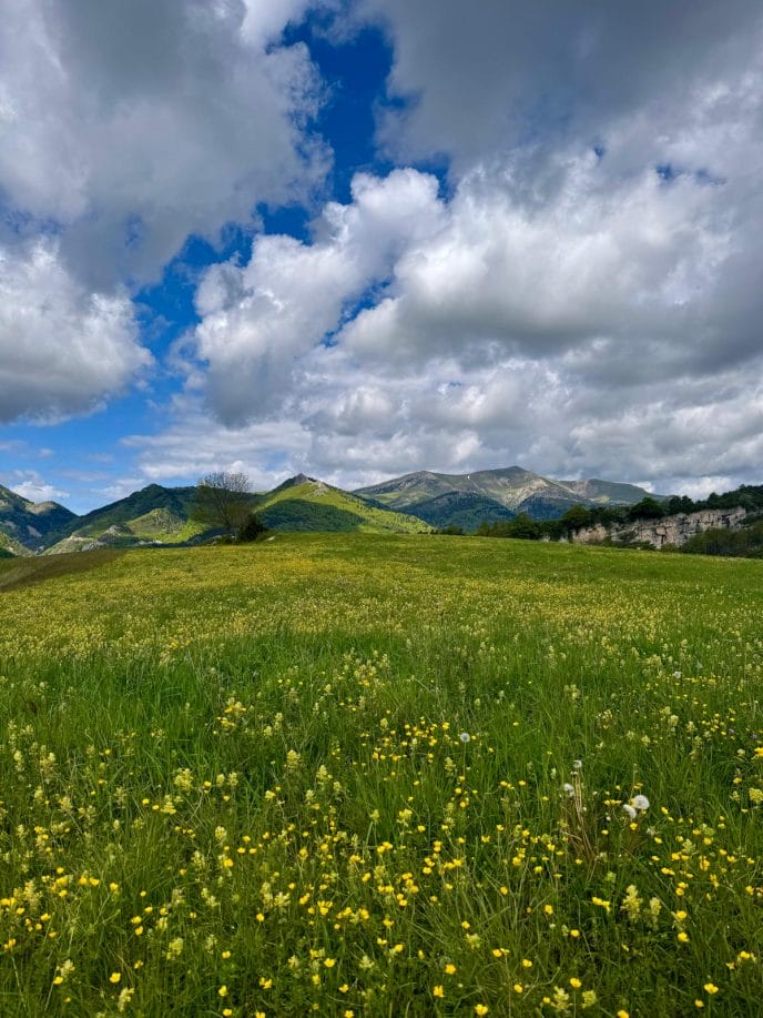 Tour du Dévoluy : randonnée dans les petites Dolomites françaises – Image 11