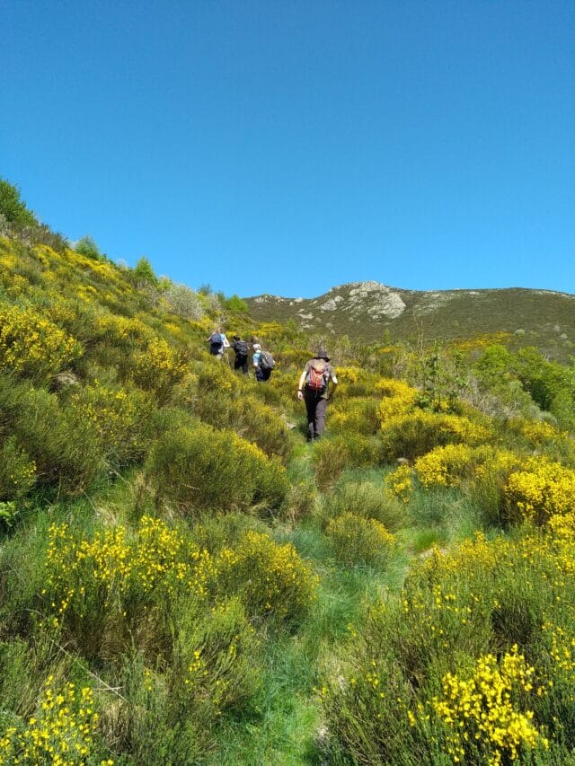 ardèche : randonnée et spécialités ardéchoises dans les cévennes