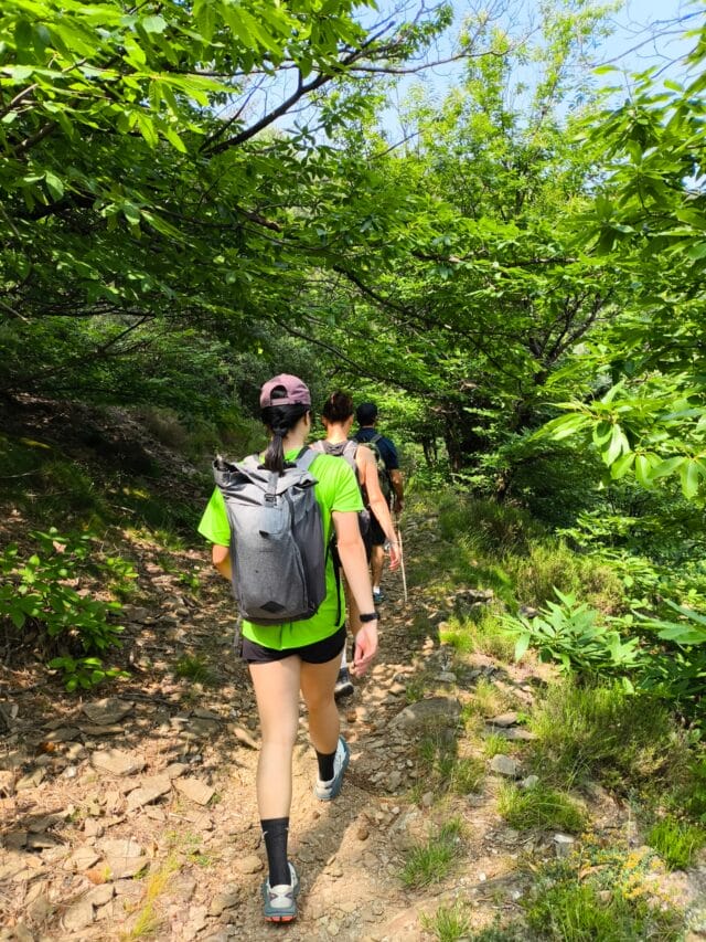 ardèche : randonnée et spécialités ardéchoises dans les cévennes