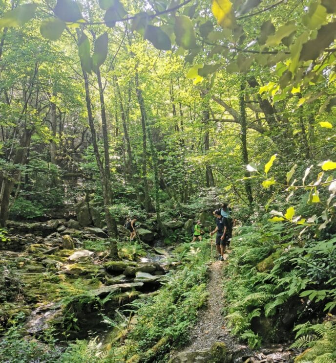 ardèche : randonnée et spécialités ardéchoises dans les cévennes