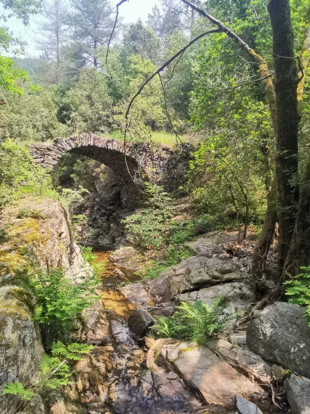 ardèche : randonnée et spécialités ardéchoises dans les cévennes