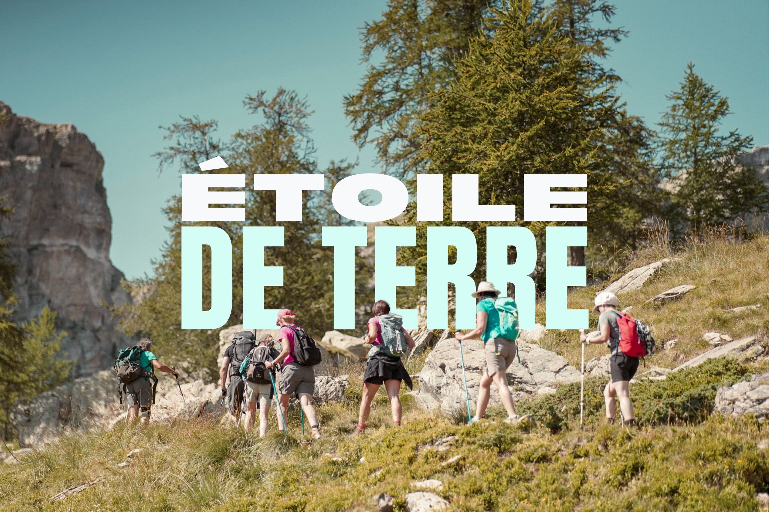 Étoile de terre  : Stage 3 jours d'initiation à la naturopathie en Provence