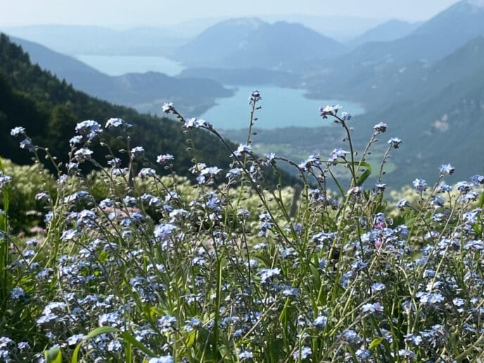 randonnée à annecy : le tour des bauges en rando et refuges