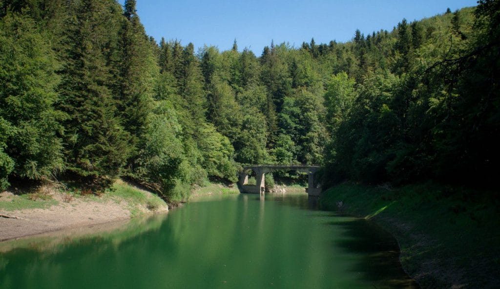 La forêt d'Iraty, l'une des merveilles cachées au cœur du Pays Basque