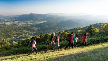 La Traversée du Massif des Vosges : un itinéraire de grande randonnée à découvrir en petit groupe