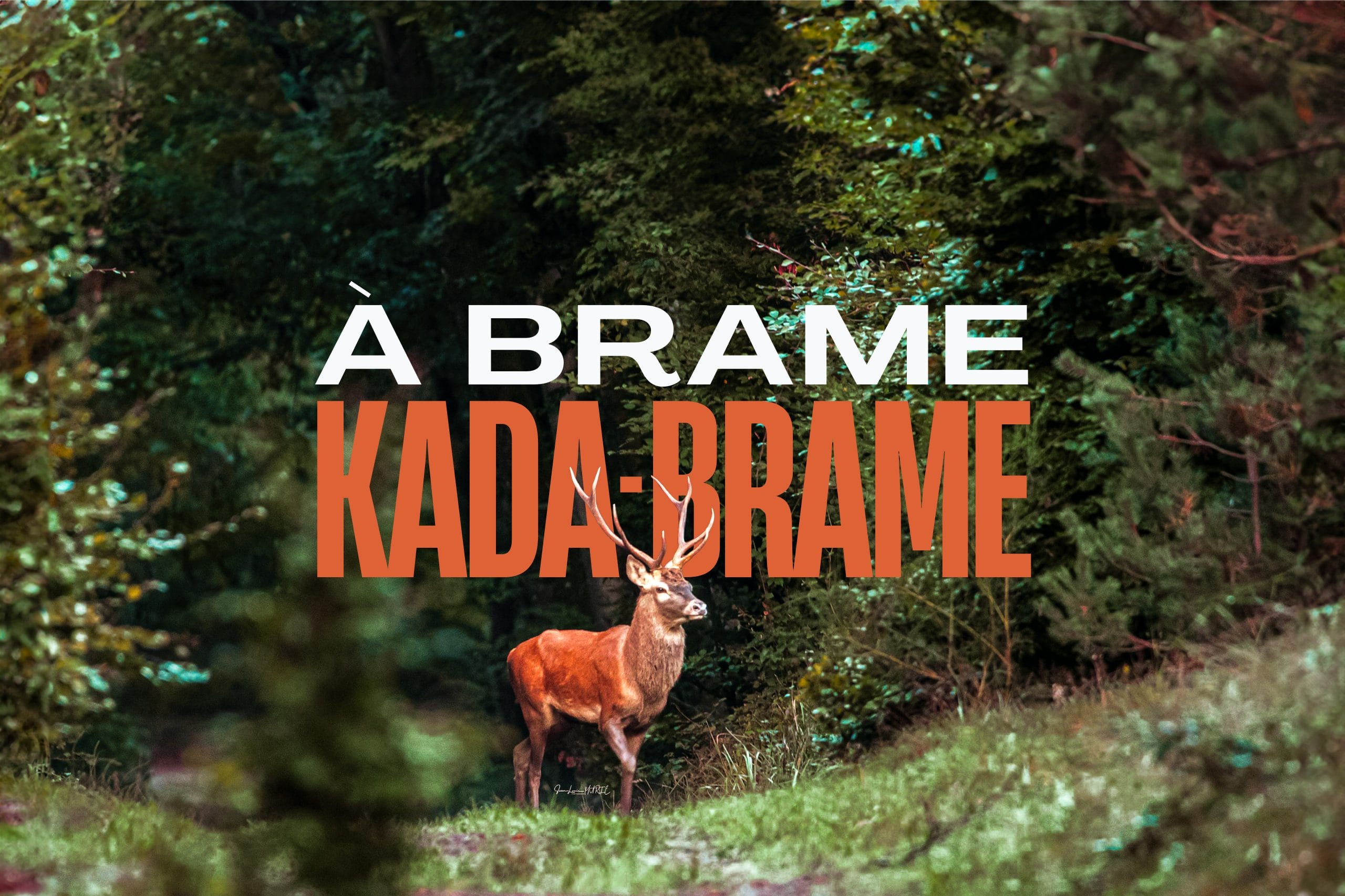 À brame kada-brame  : Brame du cerf : randonnée et contes en forêt de Brocéliande