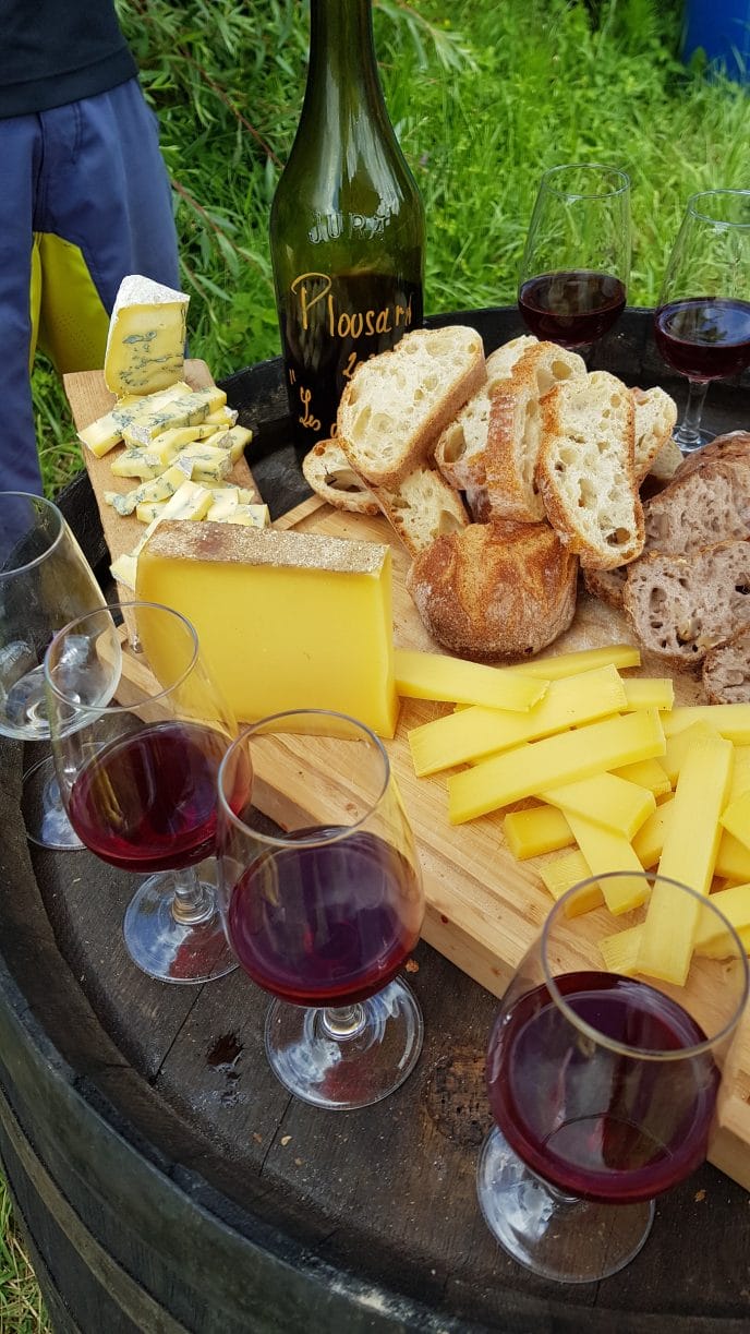 Dégustation dans les vignes - Vin, Comté, bleu de Gex et saucisson