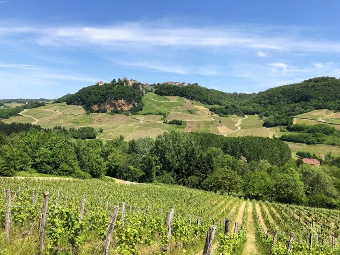 Vue sur Château-Chalon