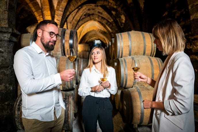 Dégustation des Vins du Jura dans les Caves de la Reine Jeanne