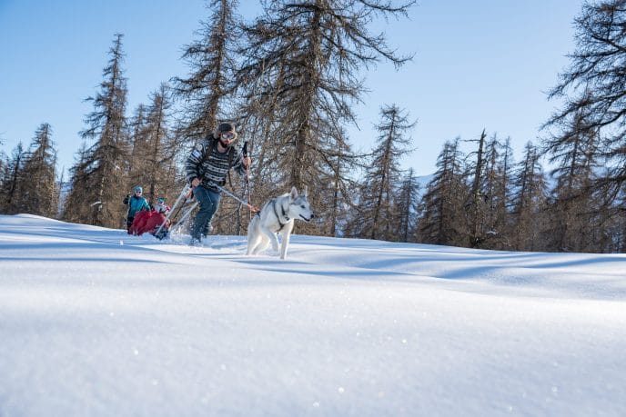 Cani-rando itinérante en raquettes dans les Écrins – Image 2