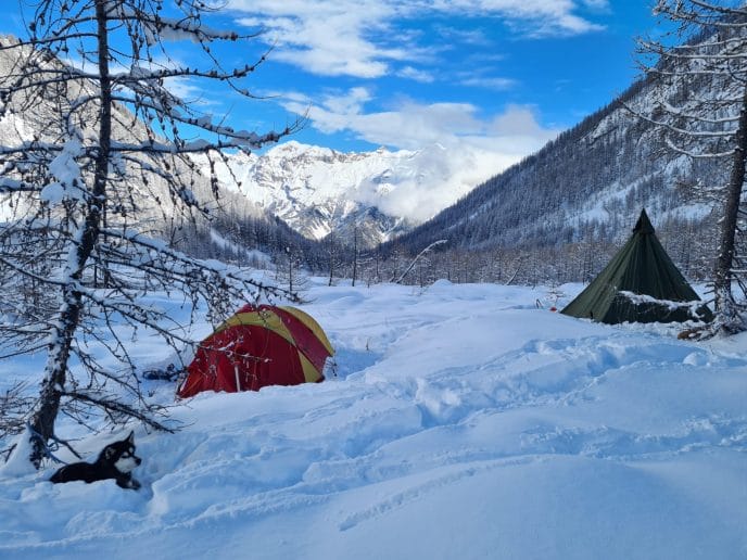 Cani-rando itinérante en raquettes dans les Écrins – Image 8