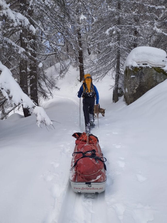 Cani-rando itinérante en raquettes dans les Écrins – Image 17