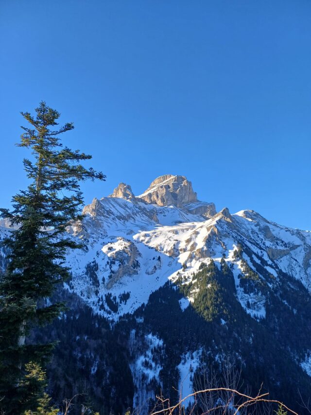 nouvel an initiation raquettes, pulka et cabane dans le vercors