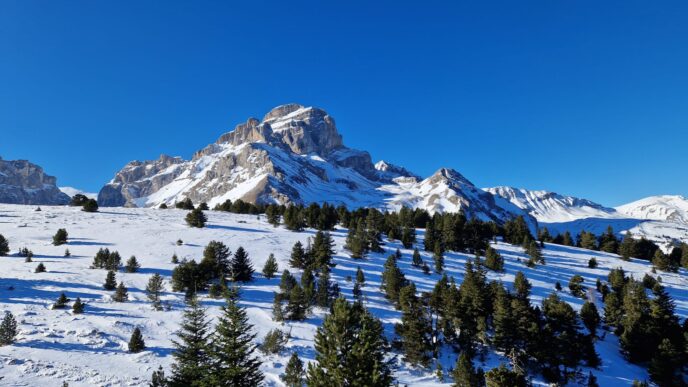 nouvel an initiation raquettes, pulka et cabane dans le vercors