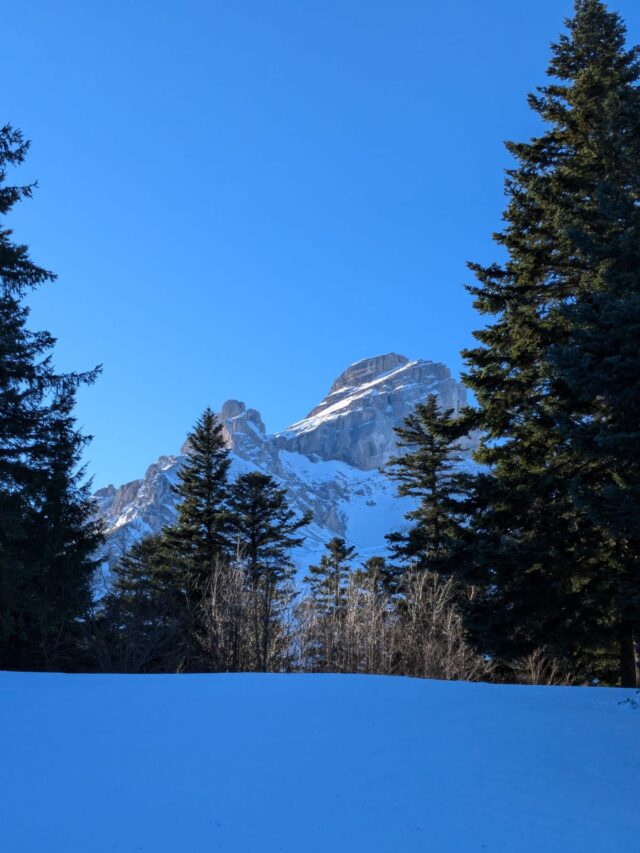 nouvel an initiation raquettes, pulka et cabane dans le vercors