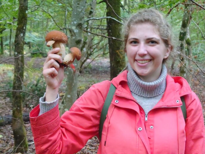 stage cueillette de champignons en forêt de fontainebleau