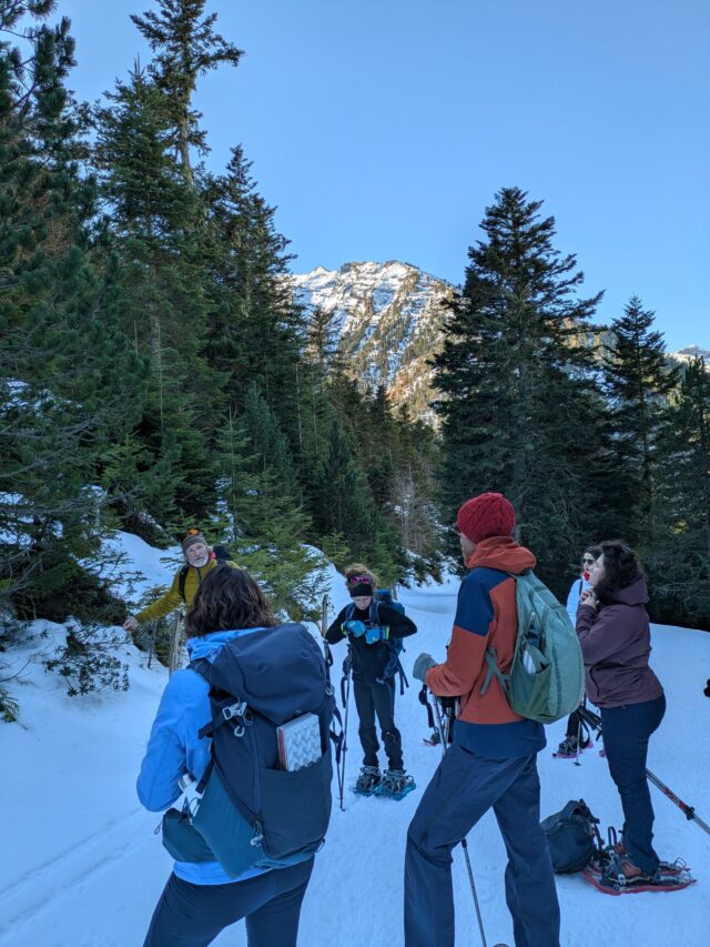 nouvel an pyrénées : rando raquettes dans la vallée du louron